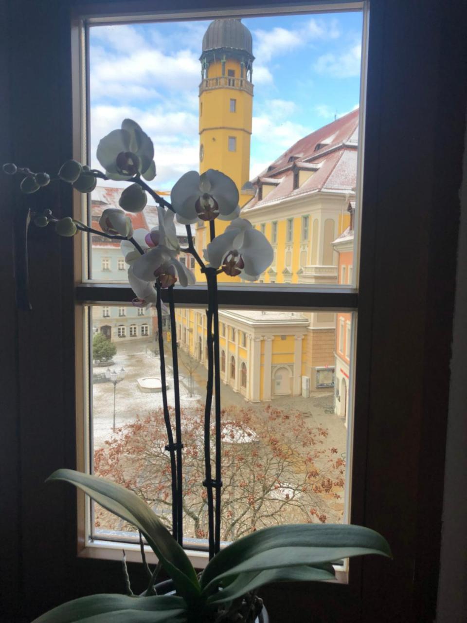 Zum Handtuch Bautzen Exterior foto